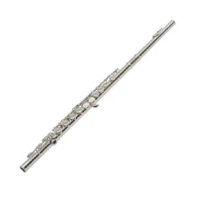 Suzuki Flute