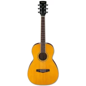 IBANEZ PN 15 ATN Acoustic Guitar