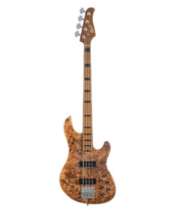 Cort GB4-Custom with Bag
