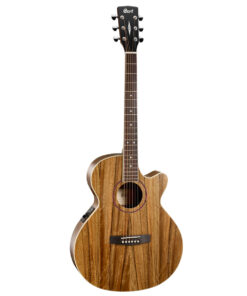 Cort SFX-DAO Accoustic Guitar With Bag