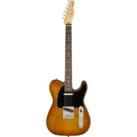 Fender American Performer Telecaster® Honey Burst