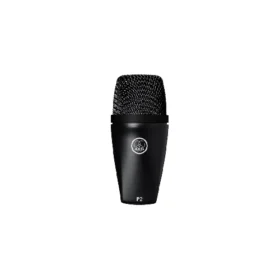 AKG P120 Studio Microphone