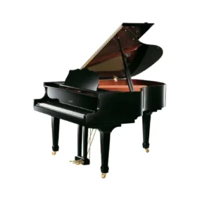 R9-D118 Acoustic Piano With Bench