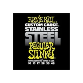 Ernie Ball STAINLESS REGULAR SLINKY