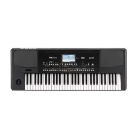 Korg PA300 Professional Arranger