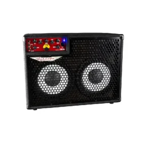 Ashdown OriginAL C210T-300