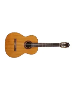 Cordoba C5