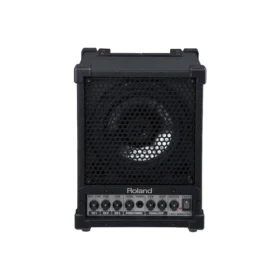 Roland CM-30 Active Speaker