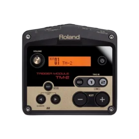 Roland TM-2