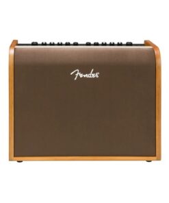 Fender Acoustic 100 230V Acoustic Amplifier