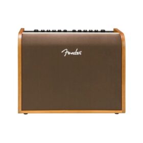 Fender Acoustic 100 230V Acoustic Amplifier